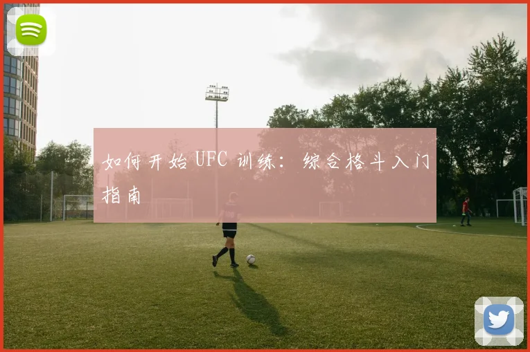 如何开始 UFC 训练:综合格斗入门指南