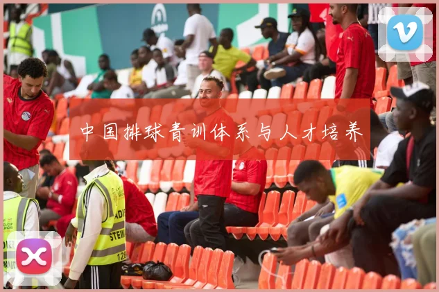 中国排球青训体系与人才培养