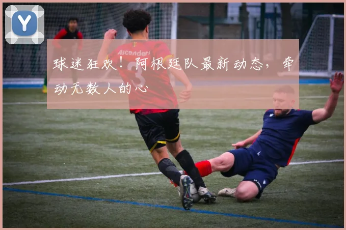 球迷狂欢!阿根廷队最新动态,牵动无数人的心